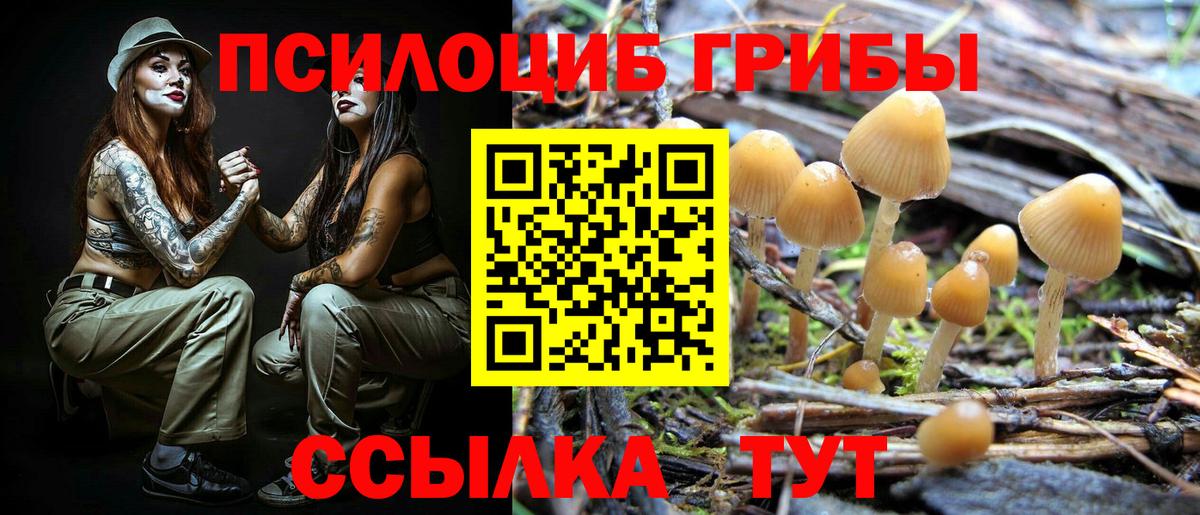 Псилоцибиновые грибы Magic Shrooms Севастополь