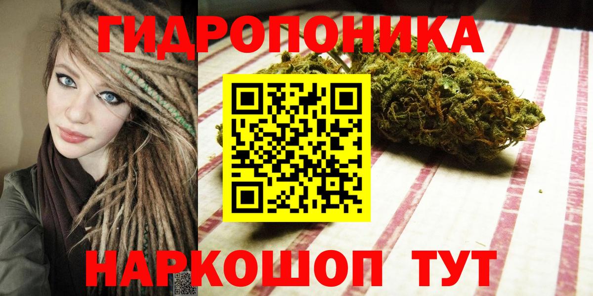 Каннабис OG Kush Севастополь